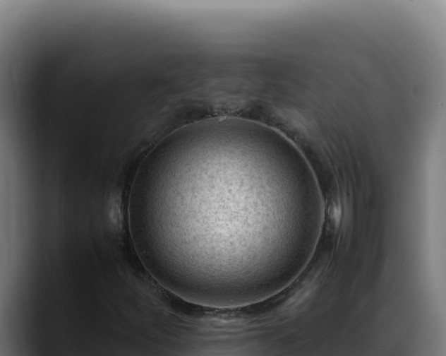 X0000088401252200705291421