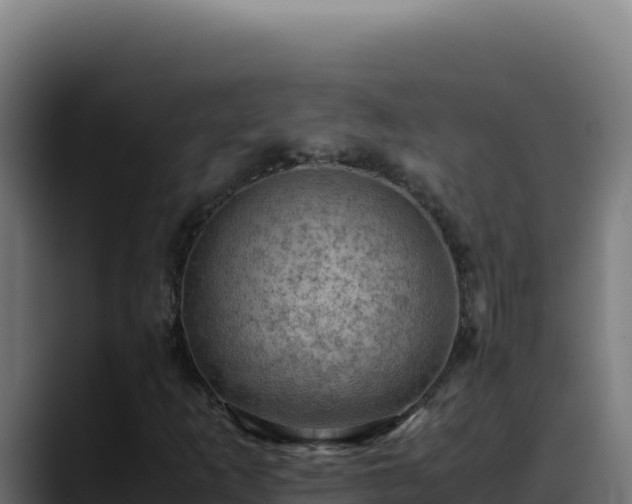 X0000088401253200705291421