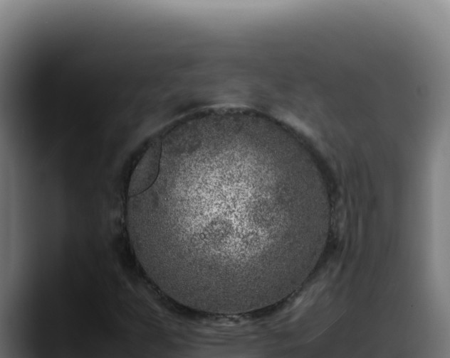 X0000088401255200705291421