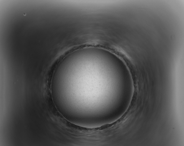 X0000088401256200705291421