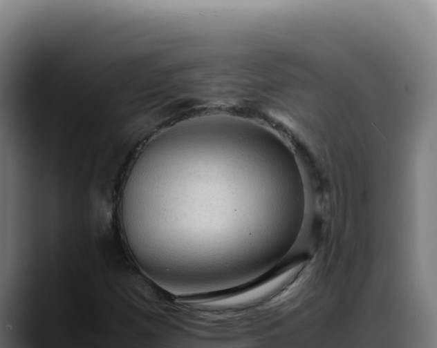 X0000088401257200705291421