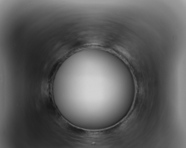 X0000088401258200705291421