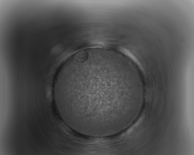 X0000088401259200705291421