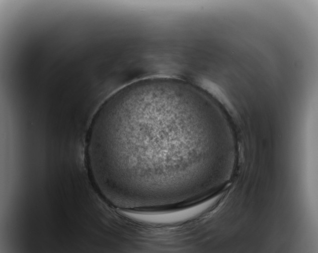 X0000088401260200705291421