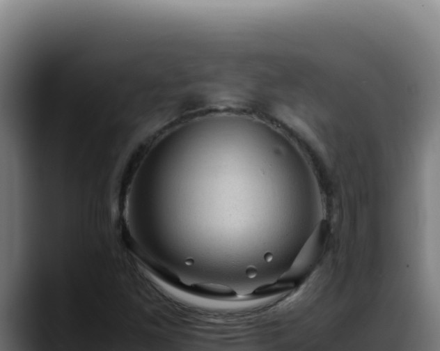 X0000088401261200705291421