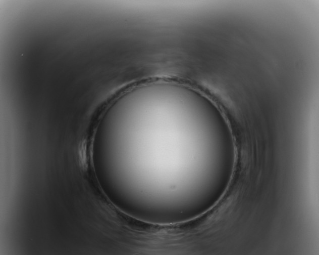 X0000088401262200705291421