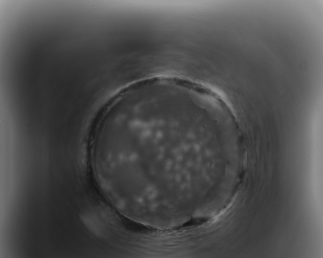 X0000088401263200705291421