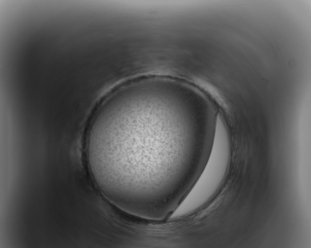 X0000088401264200705291421