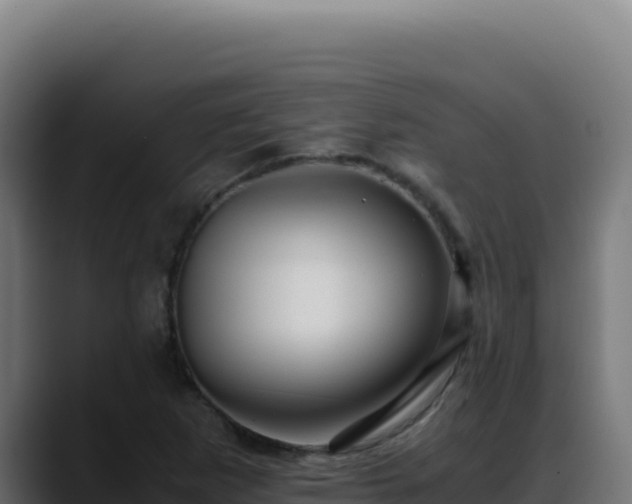 X0000088401265200705291421