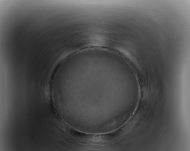 X0000088401266200705291421