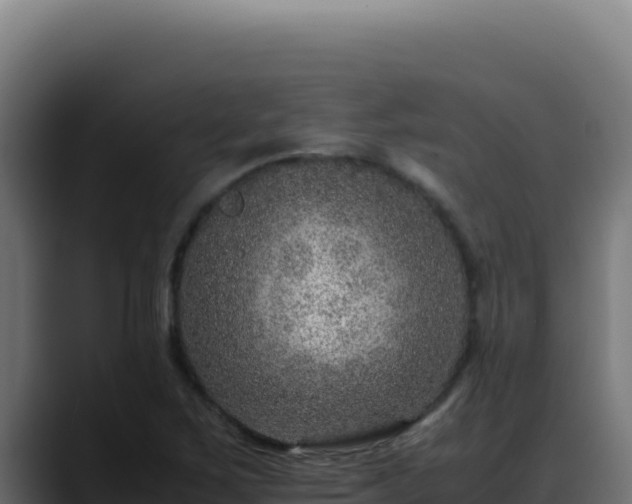 X0000088401267200705291421