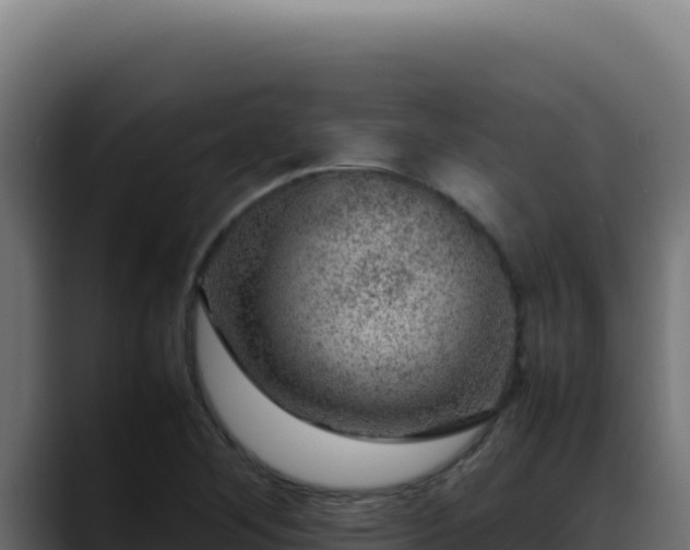 X0000088401268200705291421