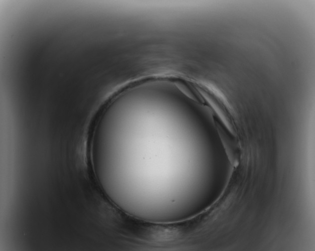 X0000088401270200705291421