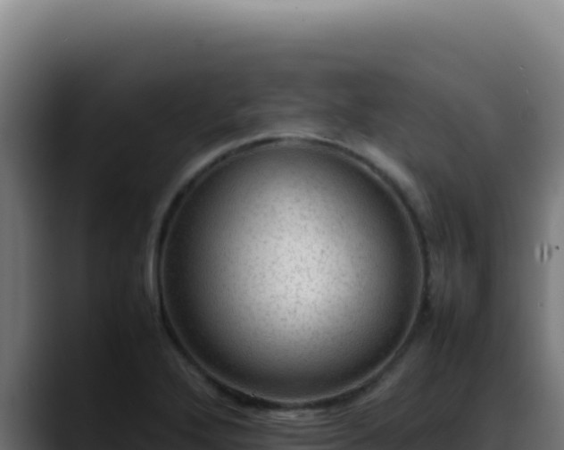 X0000088401272200705291421