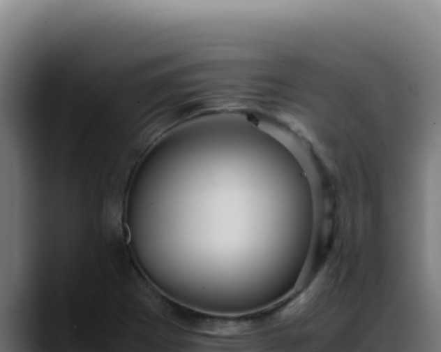 X0000088401273200705291421