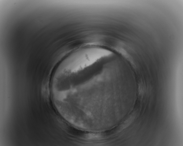 X0000088401274200705291421