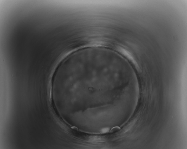 X0000088401275200705291421