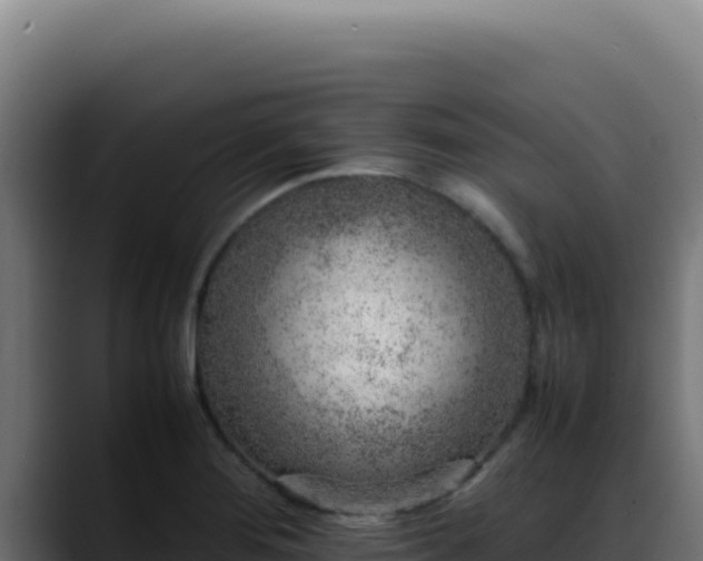 X0000088401276200705291421