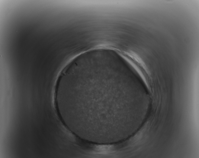 X0000088401277200705291421