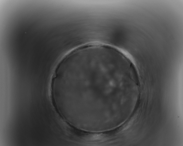 X0000088401279200705291421