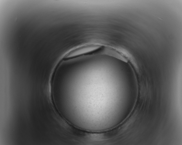 X0000088401280200705291421