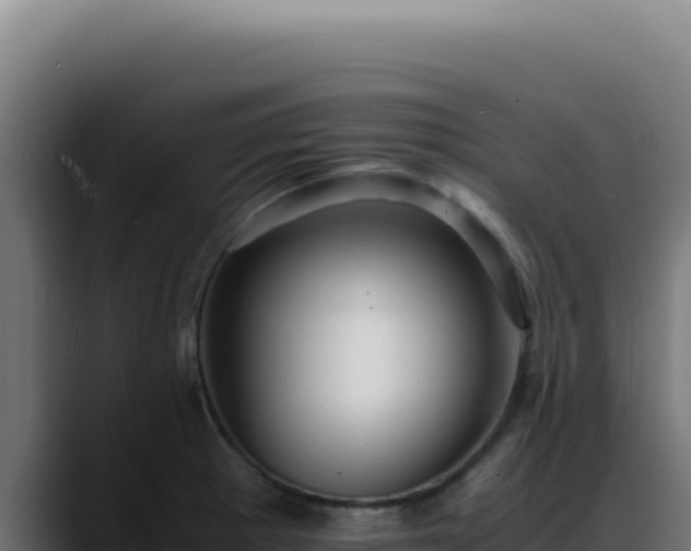 X0000088401281200705291421