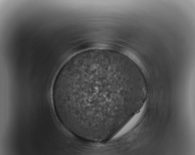 X0000088401283200705291421