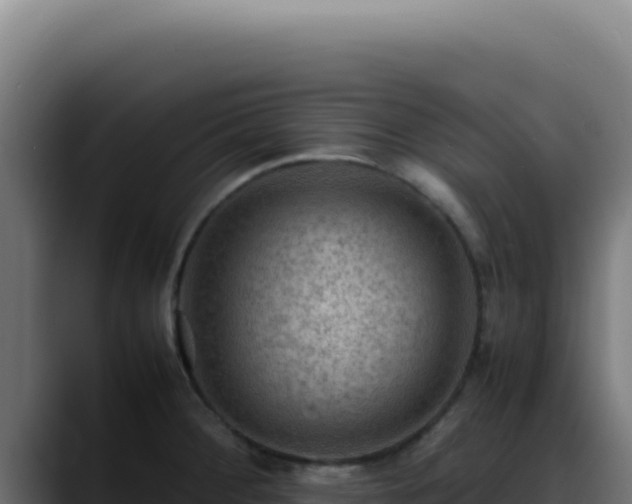 X0000088401284200705291421