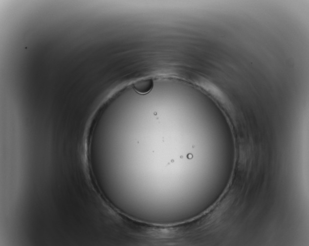 X0000088401286200705291421