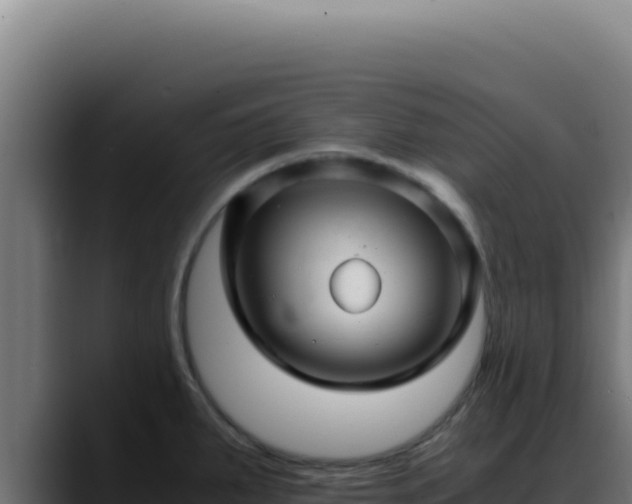 X0000088401287200705291421