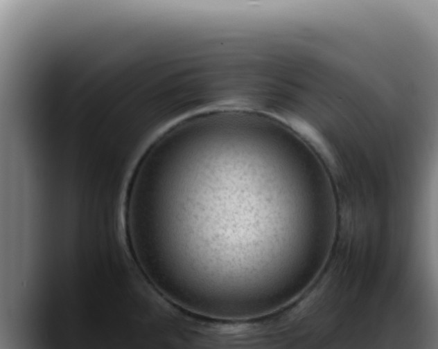 X0000088401288200705291421