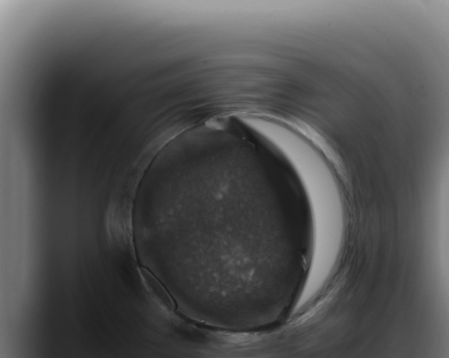 X0000088401289200705291421