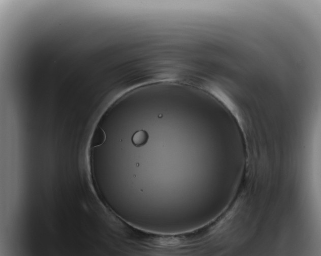 X0000088401291200705291421