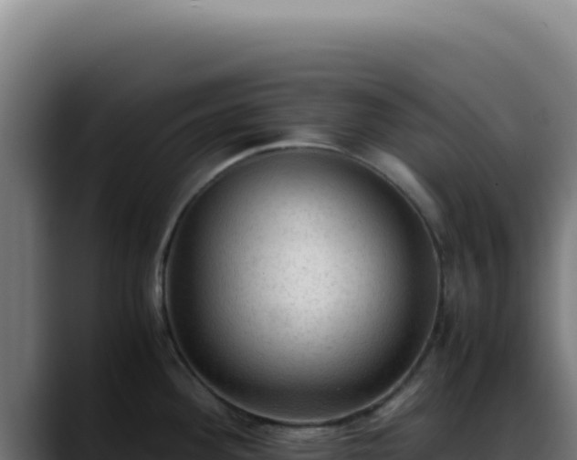 X0000088401292200705291421