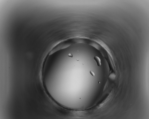 X0000088401293200705291421