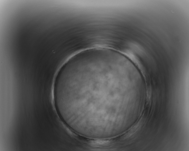 X0000088401294200705291421