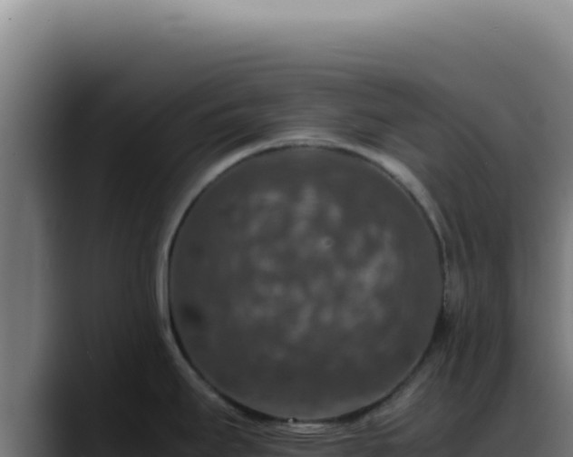 X0000088401295200705291421