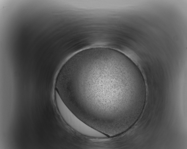 X0000088401296200705291421