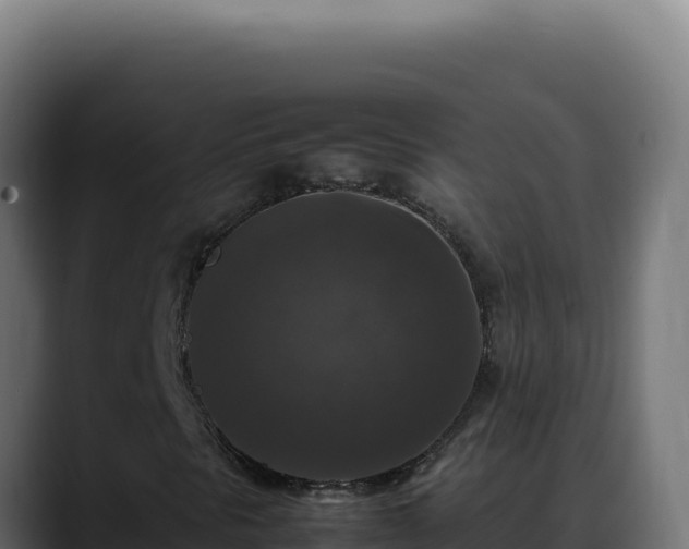 X0000088401297200705291420