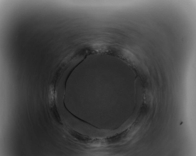 X0000088401298200705291420