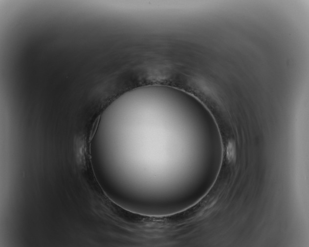 X0000088401299200705291420