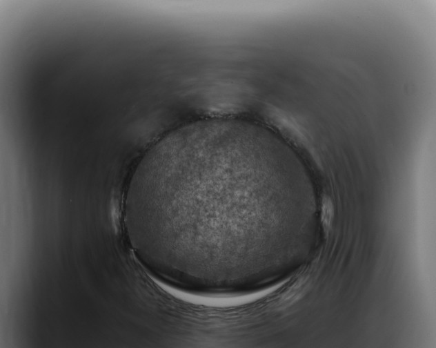 X0000088401300200705291420