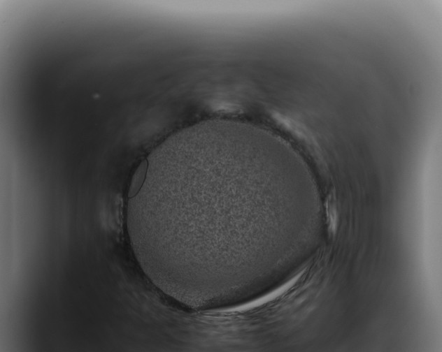 X0000088401301200705291420