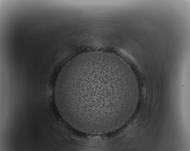 X0000088401302200705291420