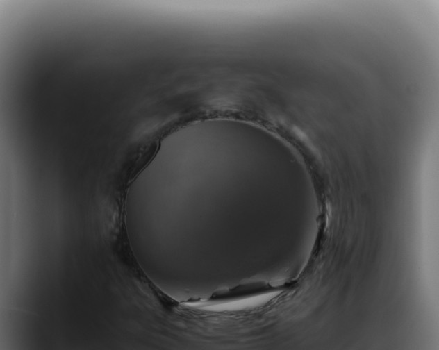 X0000088401303200705291420