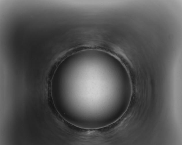 X0000088401304200705291420