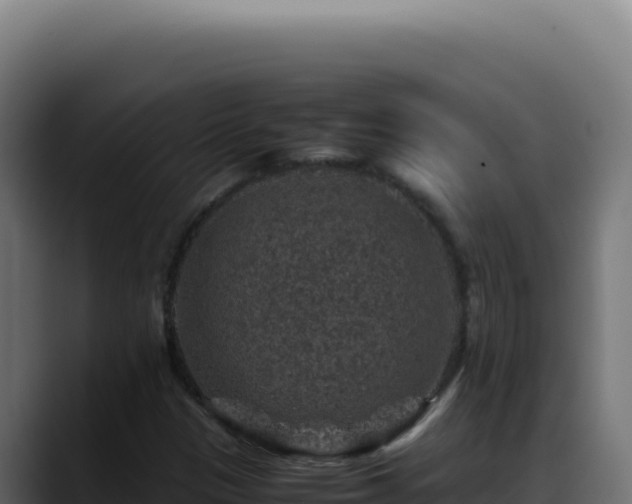 X0000088401305200705291420