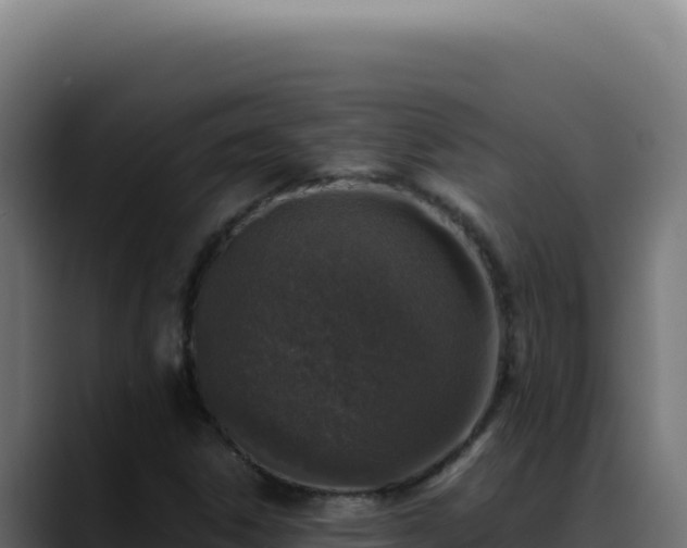 X0000088401306200705291420