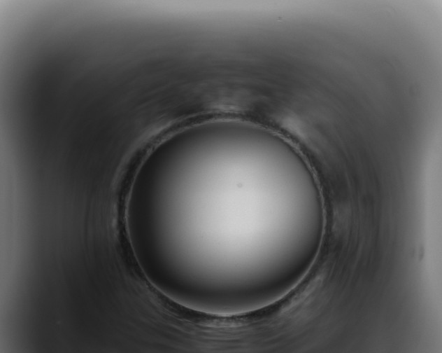 X0000088401307200705291420