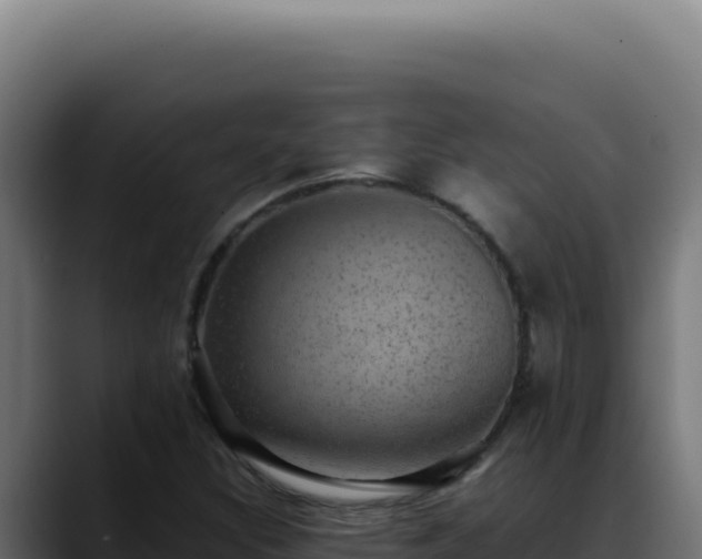 X0000088401308200705291420